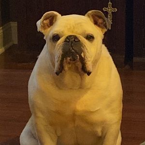 Meet your Posher, Constance lynn